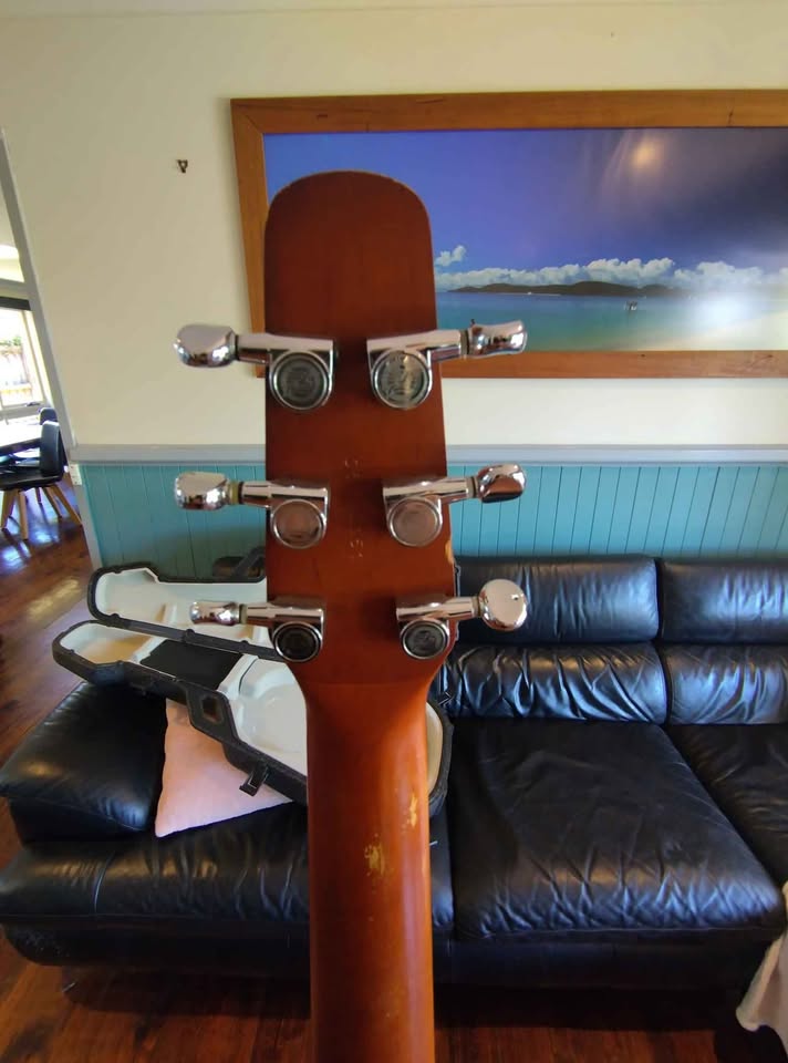 Seagull (Godin) S6CW folk GT Canadian made Guitar