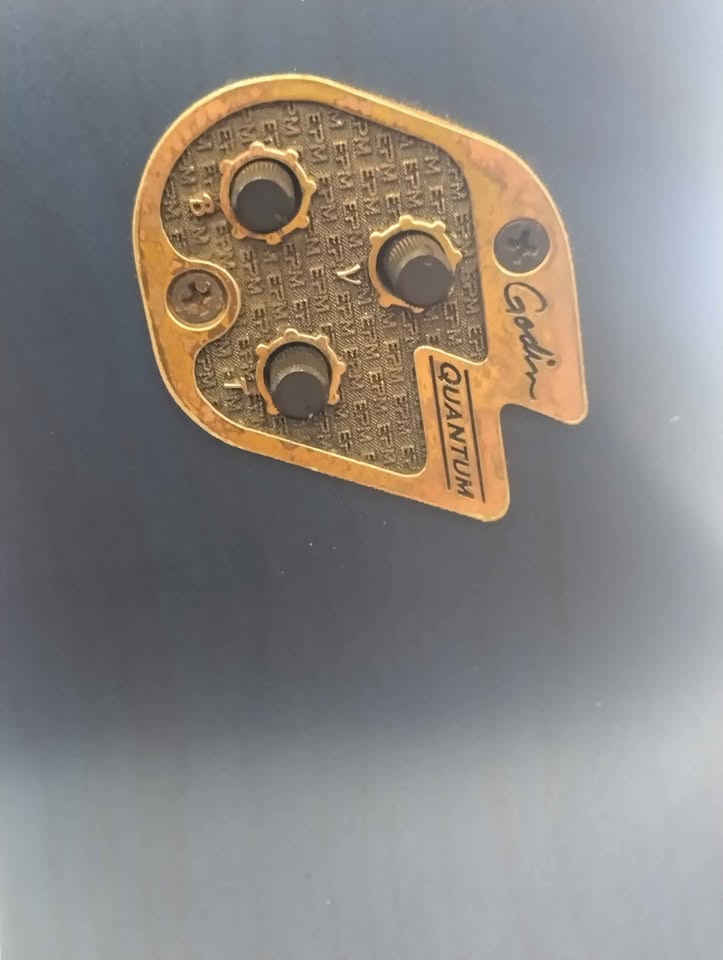 Seagull (Godin) S6CW folk GT Canadian made Guitar
