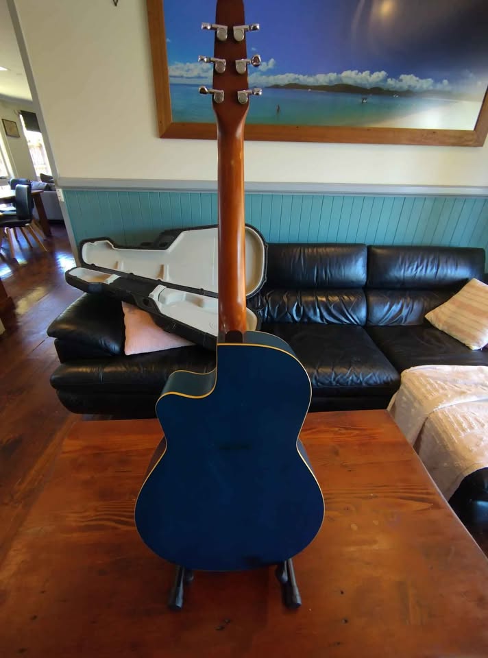 Seagull (Godin) S6CW folk GT Canadian made Guitar