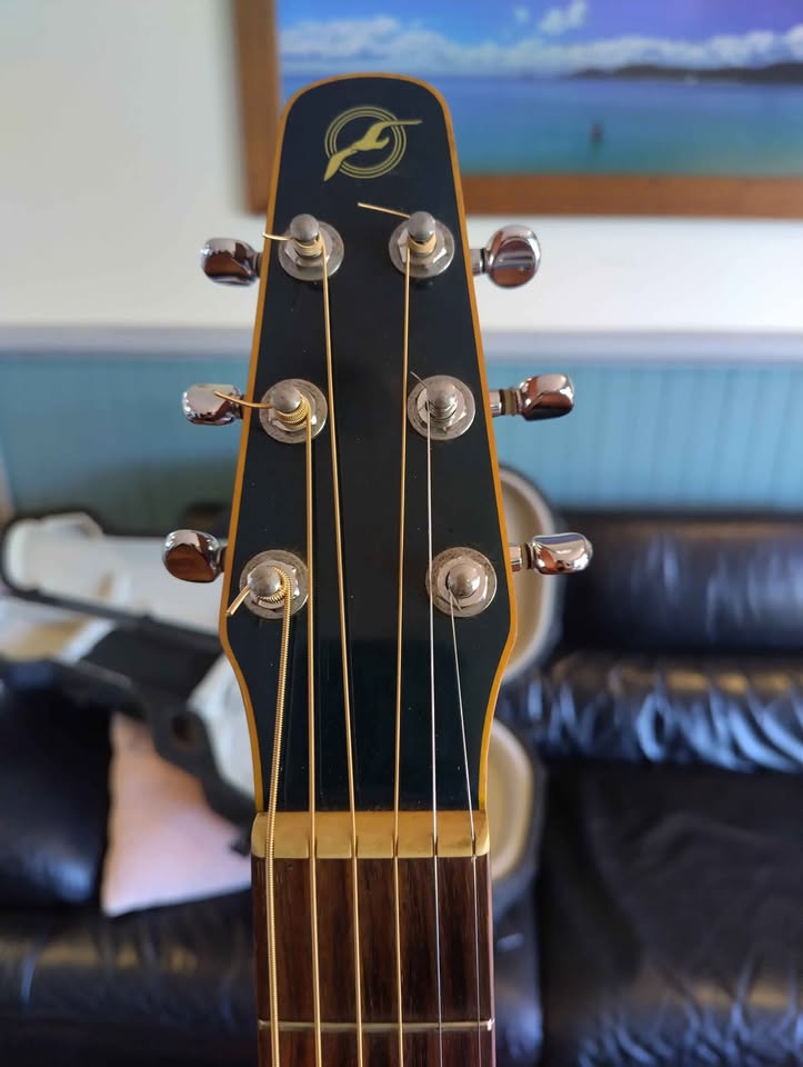 Seagull (Godin) S6CW folk GT Canadian made Guitar