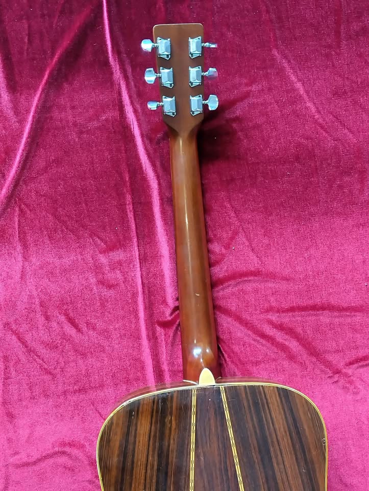 Takamine Elite TW-25 circa 1974 MIJ Vintage Beauty