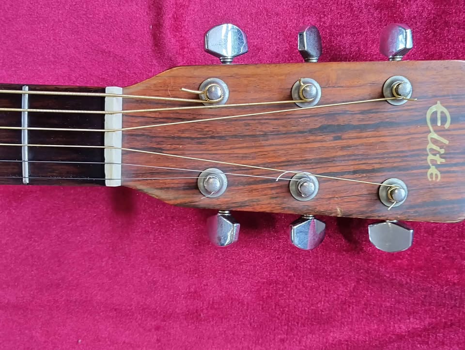 Takamine Elite TW-25 circa 1974 MIJ Vintage Beauty