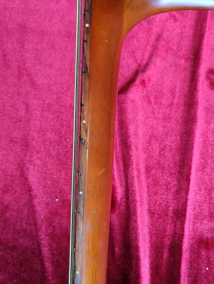 Takamine Elite TW-25 circa 1974 MIJ Vintage Beauty