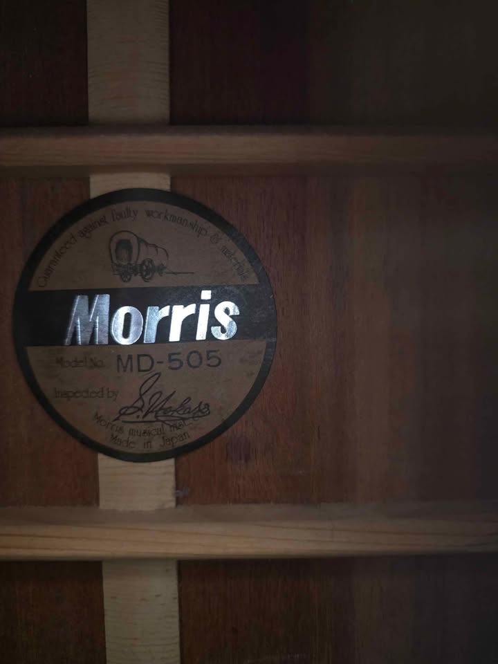 Morris MD-505 Acoustic Guitar Made in Japan