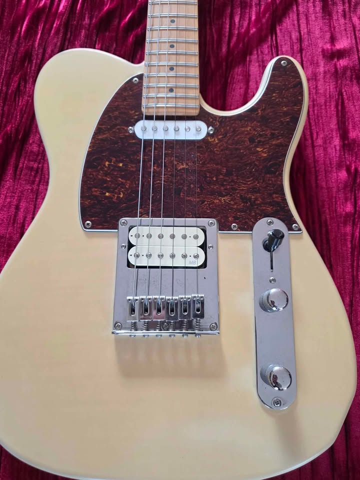 Indie Telecaster Guitar - Excellent Beast