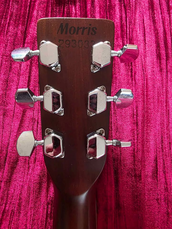 Morris MD-505 Acoustic Guitar Made in Japan