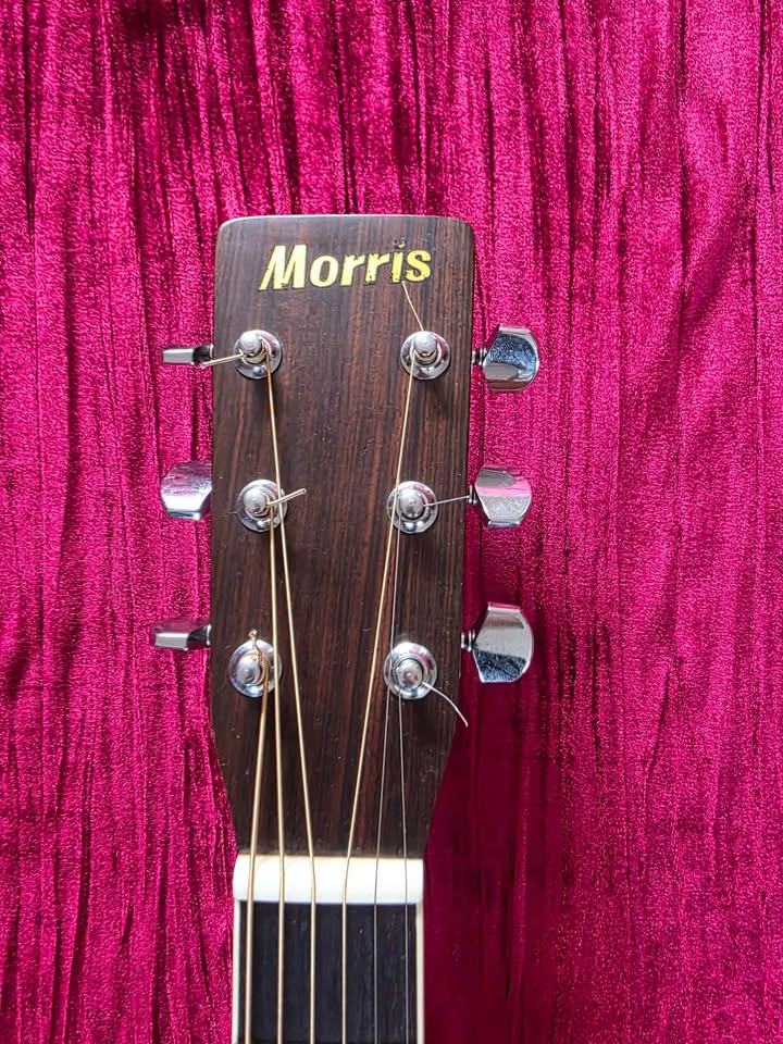 Morris MD-505 Acoustic Guitar Made in Japan