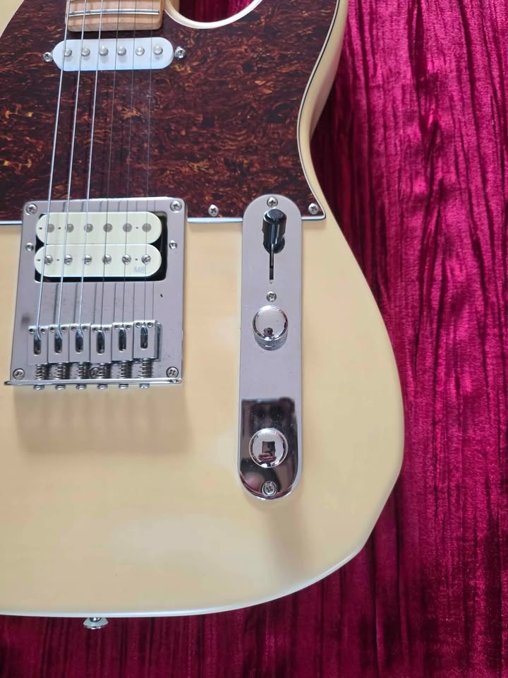 Indie Telecaster Guitar - Excellent Beast