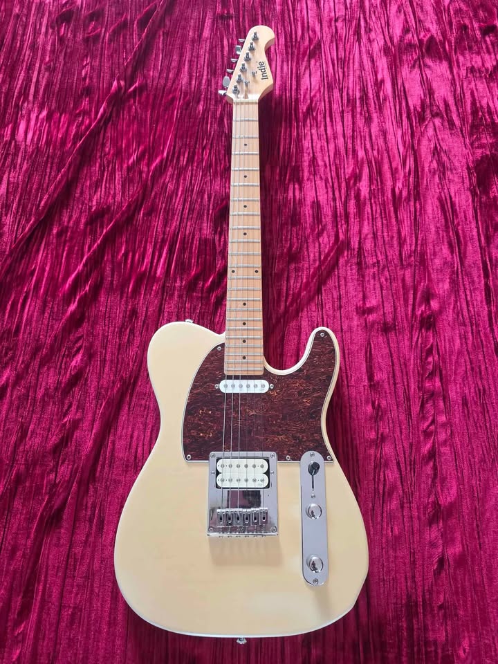 Indie Telecaster Guitar - Excellent Beast
