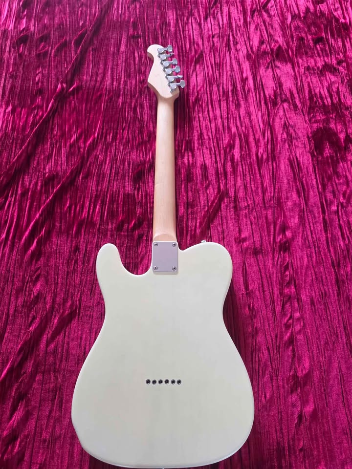 Indie Telecaster Guitar - Excellent Beast