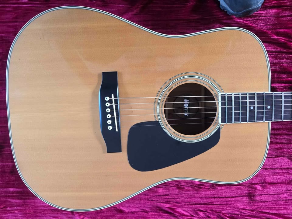 Morris MD-505 Acoustic Guitar Made in Japan
