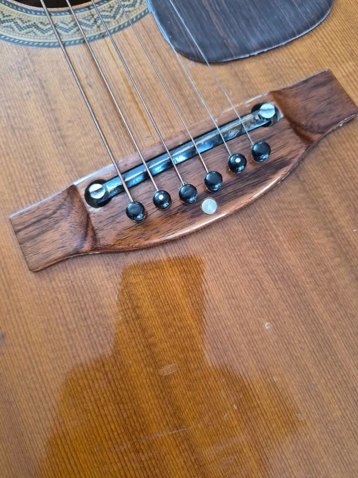 Kasuga Vintage Guitar F-100 Made in Japan
