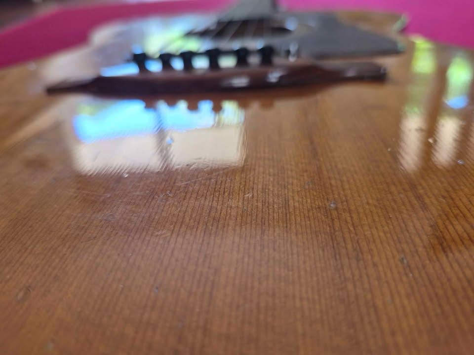 Kasuga Vintage Guitar F-100 Made in Japan
