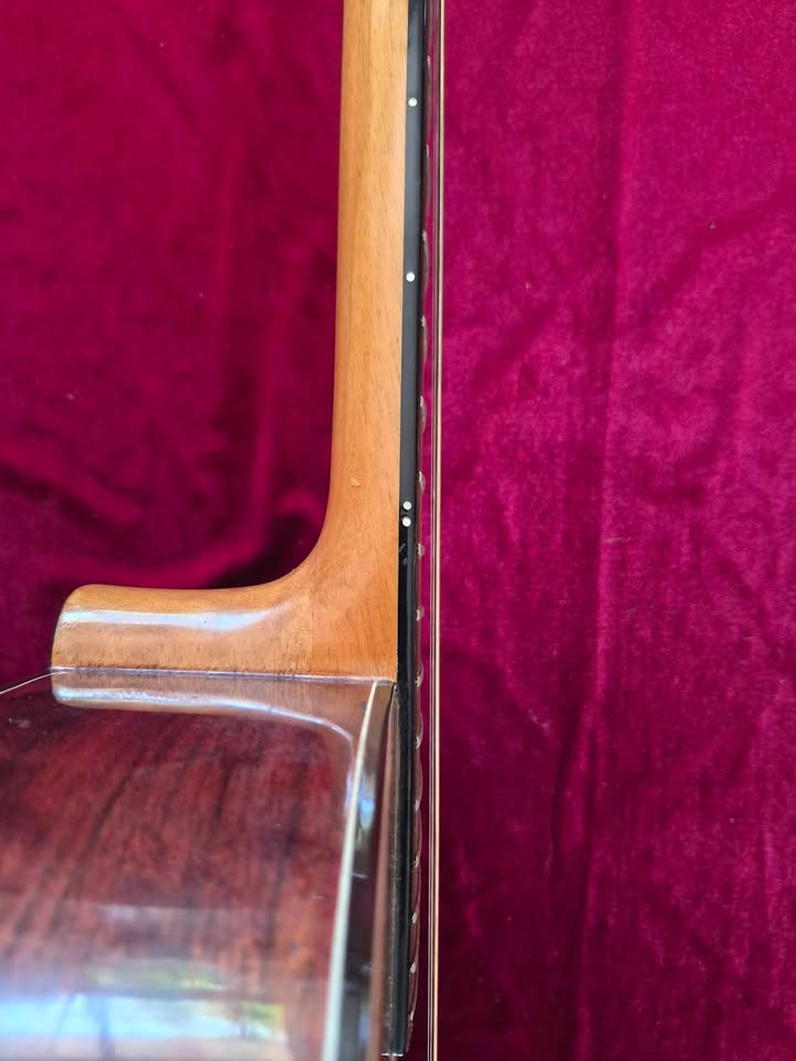 Kasuga Vintage Guitar F-100 Made in Japan