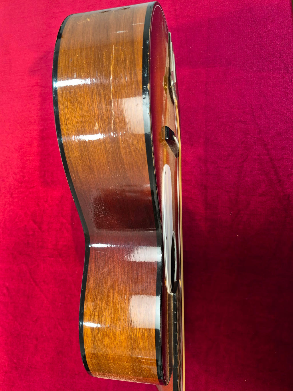 Vintage MIJ Challenge Guitar - Project Guitar